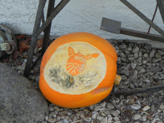 Dog, Nipomo Pumpkin Patch best carving idea